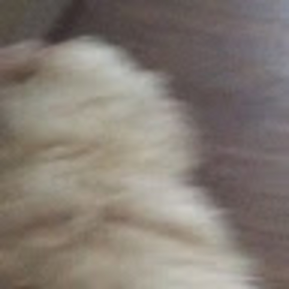 Meet your Posher, Abigail